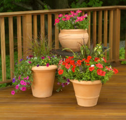 container garden purchased 2016