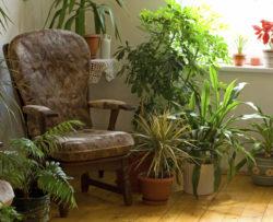 Cozy corner at home in the morning lights